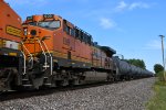 BNSF 609 Roster shot